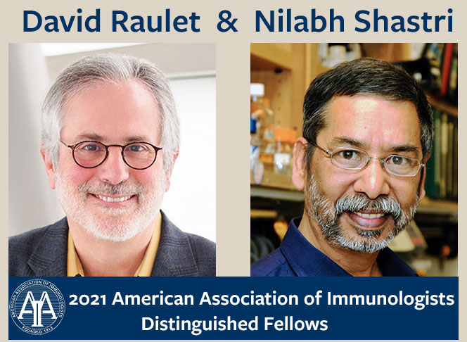 Raulet and Shastri 2021 AAI Distinguished Fellows